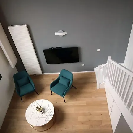Superbe Duplex En Hypercentre Apartamento *