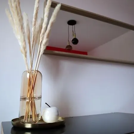 Superbe Duplex En Hypercentre Amiens